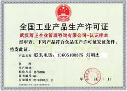 一站式解決方案 南京咨詢TS認證電梯客梯安裝生產(chǎn)與武漢雨正企業(yè)管理咨詢南京分公司服務詳解